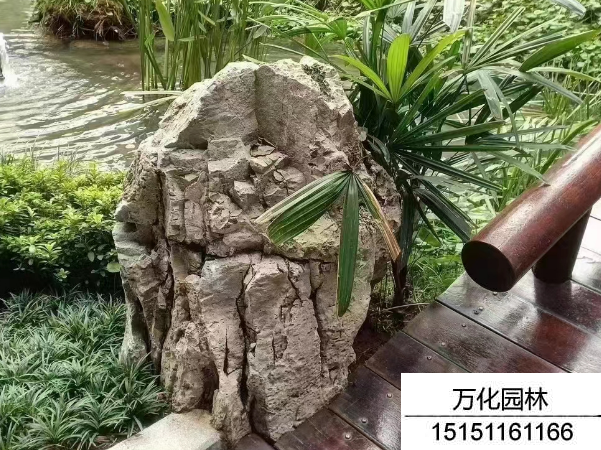 龟纹石