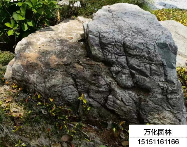 龟纹石