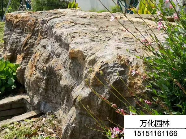 龟纹石